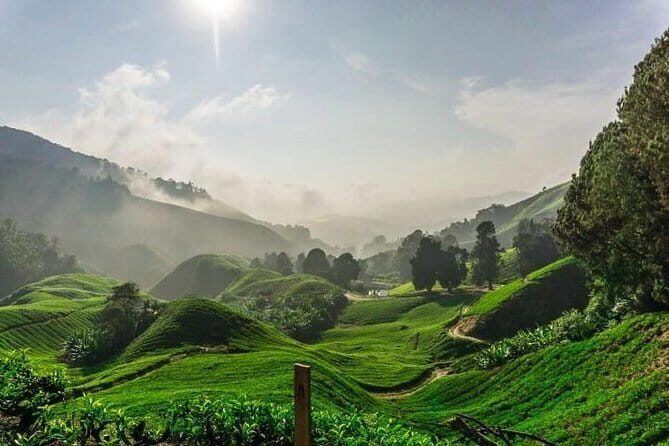 Private Tour : Cameron Highland Day Trip from Kuala Lumpur - Good To Know