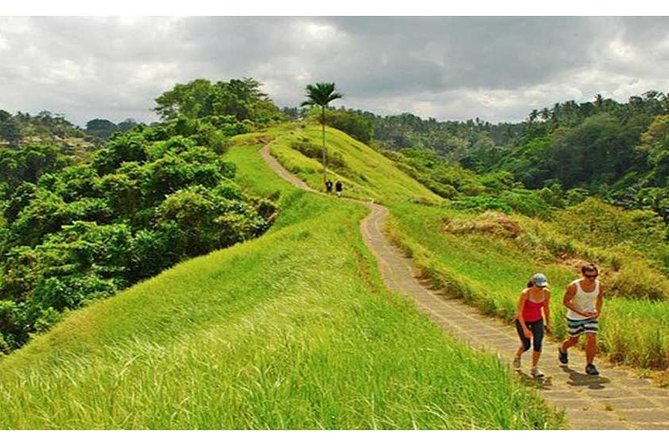 Private Tour: Campuhan Ridge Walk, Ubud Rice Terrace & Ubud Palace - Tour Details