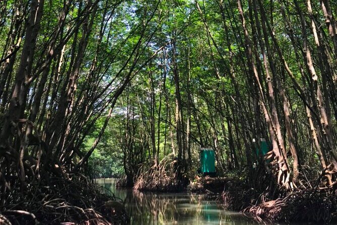 Private Tour Can Gio Mangrove Biosphere - Authentic Experiences and Practical Tips