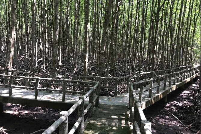 Private Tour Can Gio Mangrove Biosphere - The Sum Up