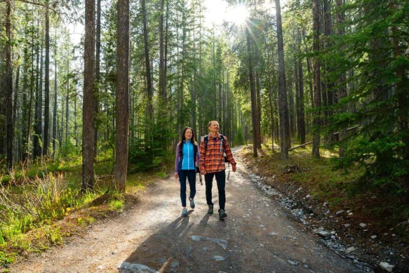 Private Tour: Canmore 2-Hour Guided Nature Walk - An In-Depth Look at the Canmore Private Nature Walk