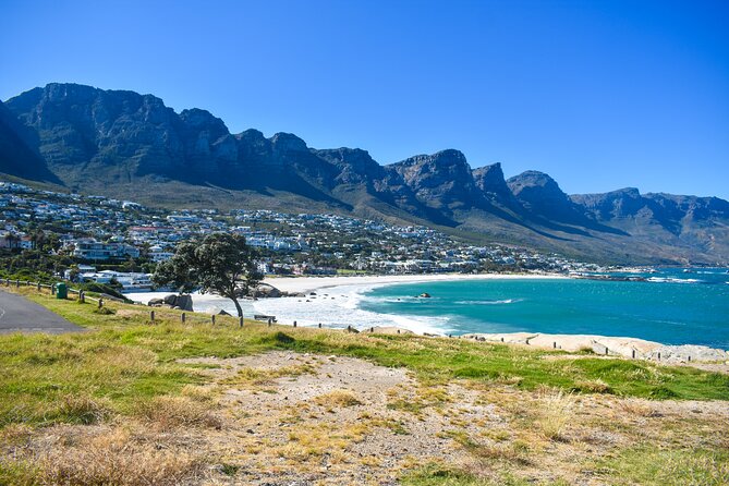 Private Tour: Cape of Good Hope & Boulders Beach Penguin Colony - Guide Appreciation