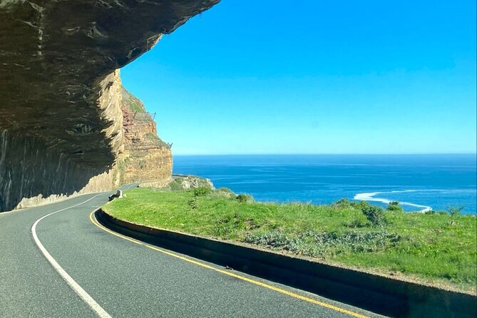 Private Tour: Cape of Good Hope, Cape Point and Boulders Beach - Boulders Beach