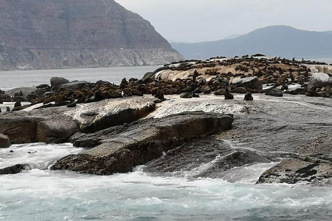 Private Tour: Cape of Good Hope Cape Point Penguins Kirstenbosch - The Sum Up