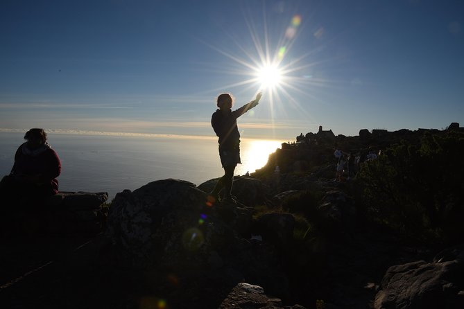 Private Tour: Cape Of Good Hope & Wine Tasting - Wine Tasting in Cape Town: A Journey of Flavors