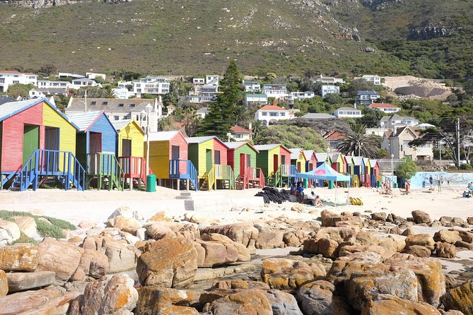 Private Tour: Cape Of Good Hope & Wine Tasting - The Perfect Day Trip: Combining Natural Beauty and Wine Delights