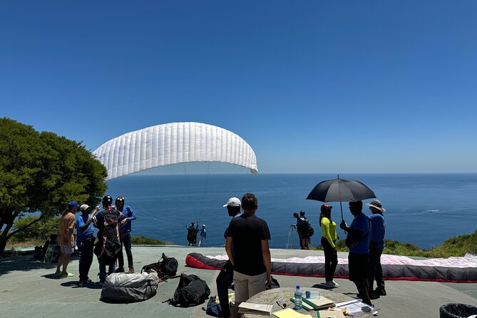 Private Tour: Cape Peninsula & Penguin Beach, Cape Point & More - Tour Highlights