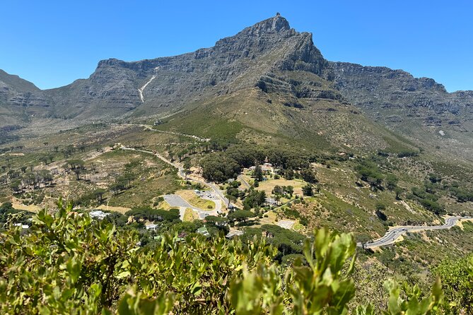 Private Tour: Cape Peninsula & Penguin Beach, Cape Point & More - Booking and Contact Information