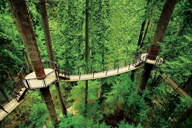 Private Tour: Capilano Suspension Bridge and Grouse Mountain - Traveler Photos