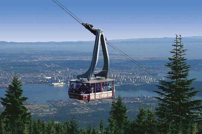 Private Tour: Capilano Suspension Bridge and Grouse Mountain - Additional Information