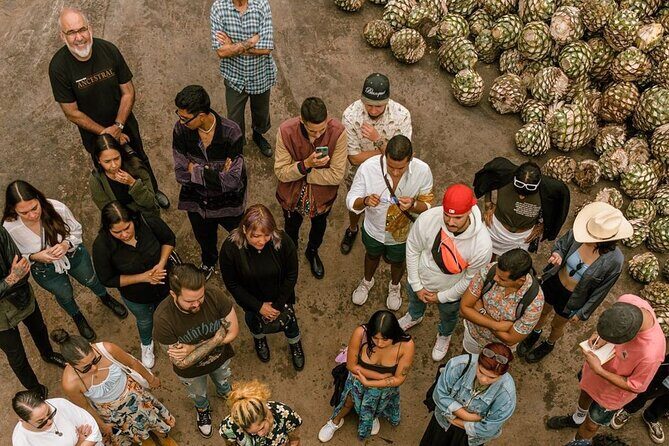 Private Tour Cascahuin Distillery and visit to Tequila - Free Time in Tequila Town