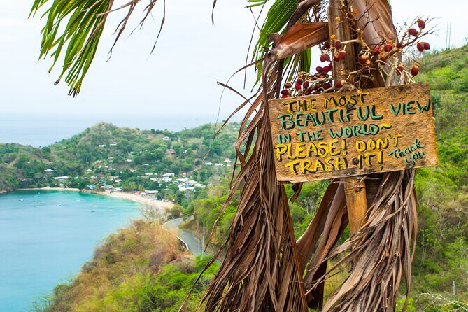 Private Tour Castara Bay from Tobago - An In-Depth Look at the Private Tour to Castara Bay