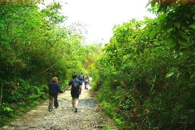 Private Tour Cat Ba National Park Long Trek Full Day - Features of the Private Tour