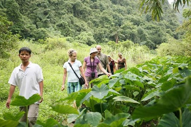 Private Tour Cat Ba National Park Long Trek Full Day - Cancellation Policy