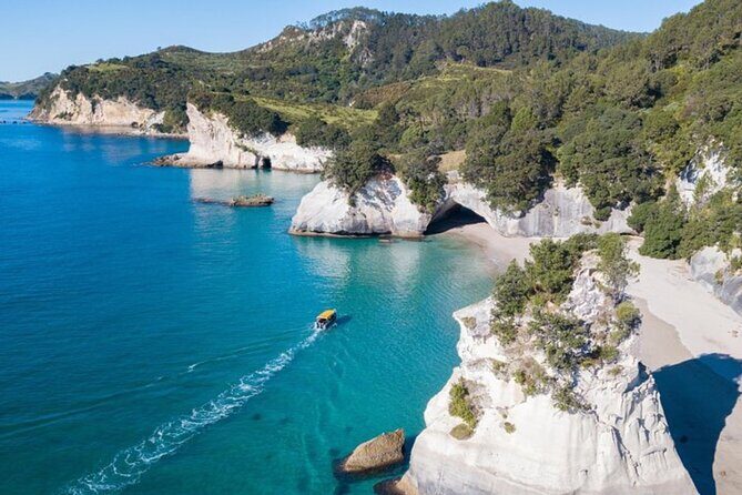 Private Tour: Cathedral Cove, Zipline and Glass Bottom Boat - Exploring New Zealand’s Natural Wonders: Private Tour of Cathedral Cove, Zipline, and Glass Bottom Boat