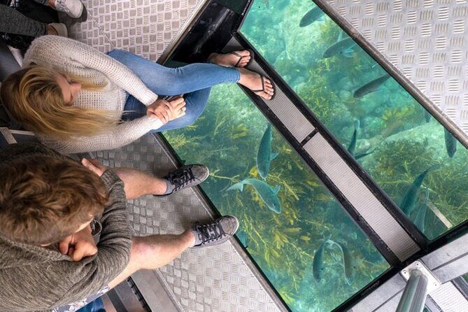 Private Tour: Cathedral Cove, Zipline and Glass Bottom Boat - Good To Know