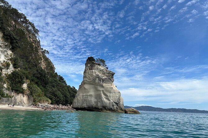 Private Tour: Cathedral Cove, Zipline and Glass Bottom Boat - Final Thoughts