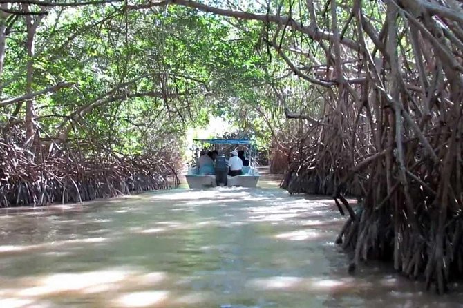 Private Tour: Celestun Biosphere Reserve by Yucatan Concierge - Inclusions and Amenities