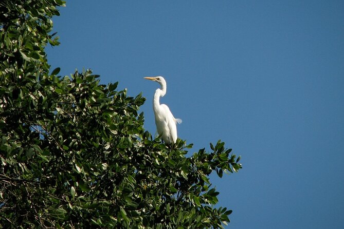 Private Tour: Celestun Biosphere Reserve by Yucatan Concierge - Additional Information and Requirements