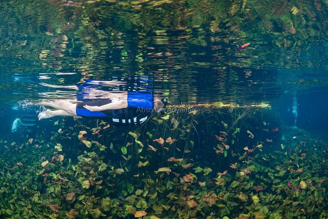 Private Tour Cenote Taak Bi Ha and Nicte Ha From Tulum Hotels - Final Thoughts