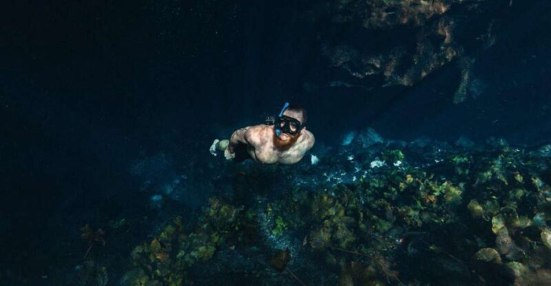 Private Tour cenotes of Mucuyche & Santa Barbara in one day - Exploring the Cenotes of Mucuyche & Santa Bárbara in One Day: A Complete Guide