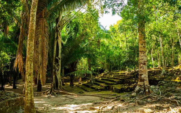 Private Tour: Chacchoben Mayan Ruins From Costa Maya - Meeting Point and What to Bring
