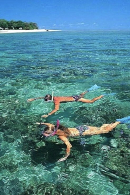 Private Tour: Cham Islands Snorkeling Trip - Good To Know