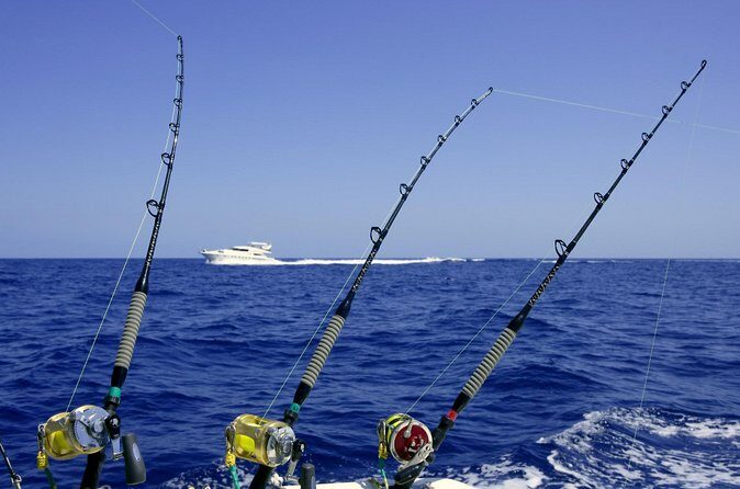 Private Tour Charter Deep Sea Fishing on Wahooter's - FAQ