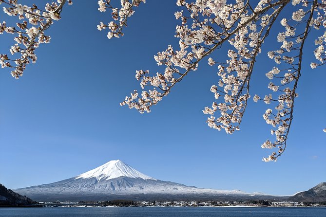 Private Tour: Chartered Car to Mt. Fuji Lake Kawaguchiko or Hakone and Lake Ashi - Tour Options: Mt. Fuji or Hakone