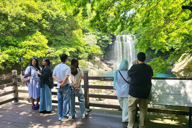 Private Tour Cheonjeyeon Falls & Osulloc Museum in Jeju Island - Pricing and Booking