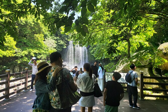 Private Tour Cheonjeyeon Falls & Osulloc Museum in Jeju Island - Reviews