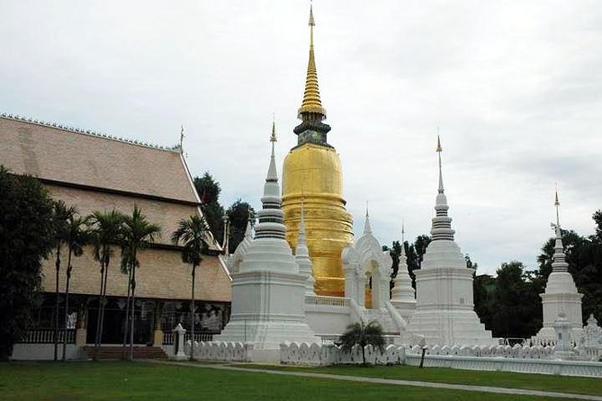 Private Tour: Chiang Mai City and Temples - Mixed Reviews and Feedback