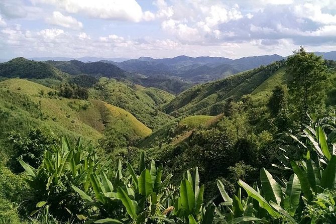 Private Tour: Chiang Rai Golden Triangle Day Trip From Chiang Mai - Exploring the Golden Triangle Area