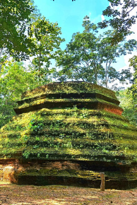 Private Tour Chiangmai , Explore Hidden Gems Lanna Temple - Dress Code Guidelines