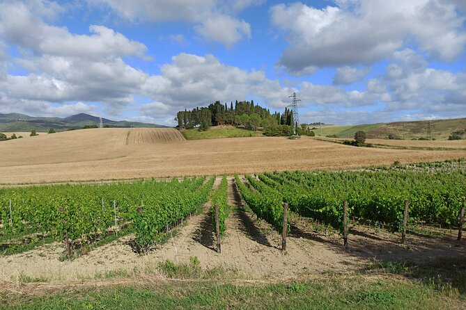 PRIVATE TOUR: Chianti Afternoon TOUR With Visit to 2 Wine Farms - What To Expect