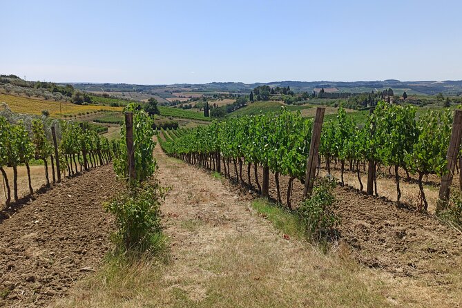 PRIVATE TOUR: Chianti Afternoon TOUR With Visit to 2 Wine Farms - Frequently Asked Questions