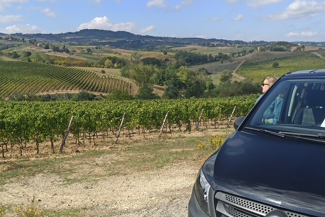 PRIVATE TOUR: Chianti Afternoon TOUR With Visit to 2 Wine Farms - The Sum Up
