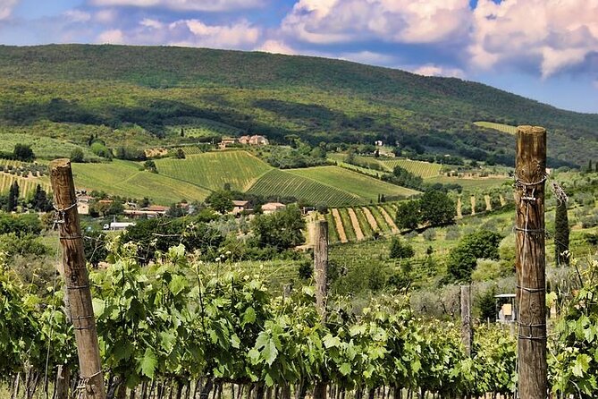 Private Tour: Chianti Winery, Montefioralle, and Greve in Chianti - The Sum Up