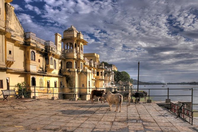 Private Tour: City Palace and Jagdish Temple in Udaipur - Tour Highlights