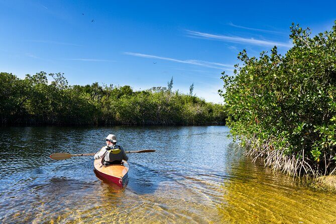 Private Tour Clear Bottom Kayak Mangrove - Introduction