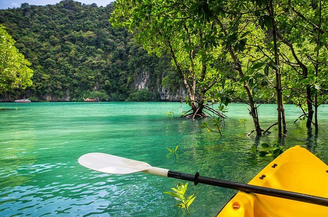 Private Tour Clear Bottom Kayak Mangrove - Practical Considerations and Value