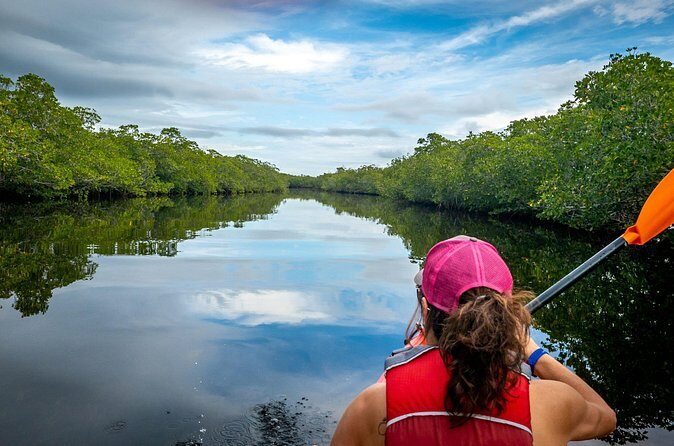 Private Tour Clear Bottom Kayak Mangrove - Who Should Consider This Tour?
