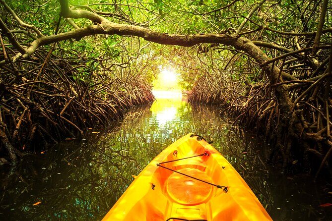Private Tour Clear Bottom Kayak Mangrove - Final Thoughts