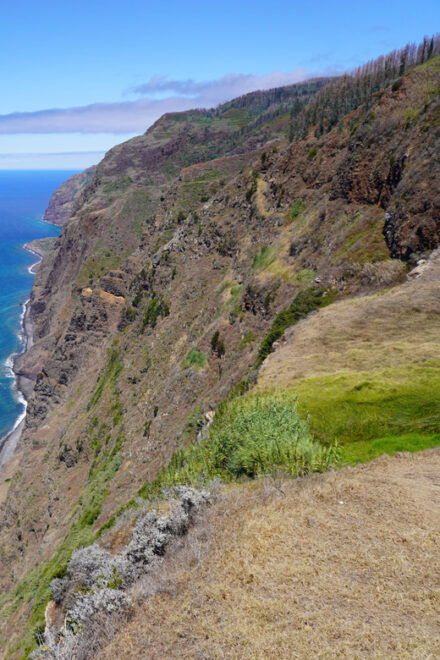 Private Tour Coastal Comfort: Madeira's Gentle Slopes - Scenic Coastal Walk