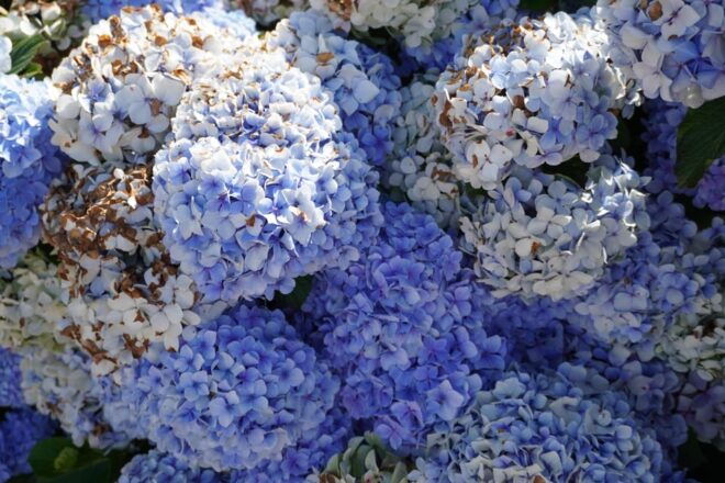 Private Tour Coastal Comfort: Madeira's Gentle Slopes - Panoramic Views From Dam