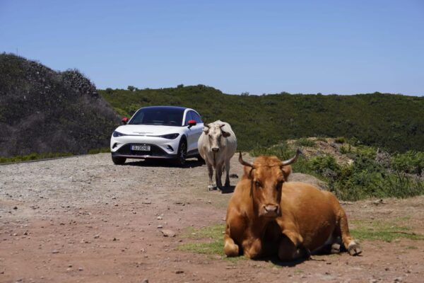Private Tour Coastal Comfort: Madeira's Gentle Slopes - Madeiran Cuisine at Jardim Do Mar