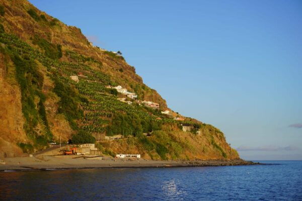 Private Tour Coastal Comfort: Madeira's Gentle Slopes - Tour Inclusions and Additional Information