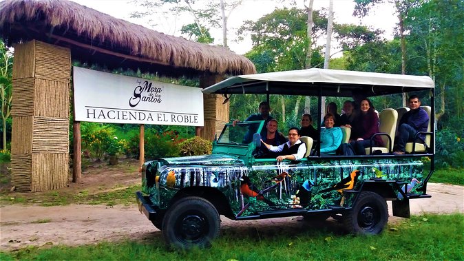 Private Tour - Coffee Tour (Cultivations) - What To Expect