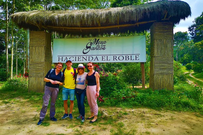 Private Tour - Coffee Tour (Cultivations) - Cancellation Policy
