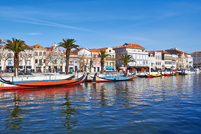 Private Tour Coimbra E Aveiro - The Sum Up